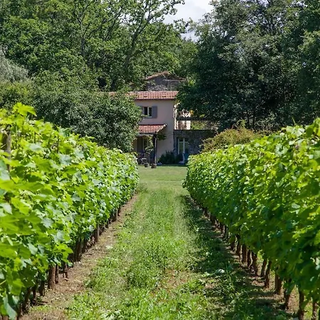 Vila Murella - Pian Della Chiesa